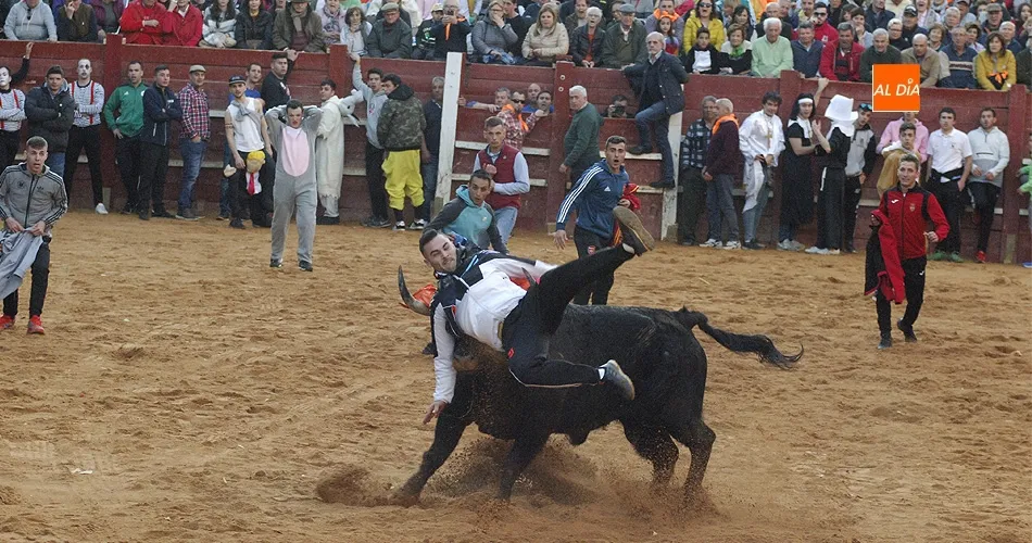 Aparatosa cogida a un mozo en la Plaza | Fotos Adrián M.Pastor