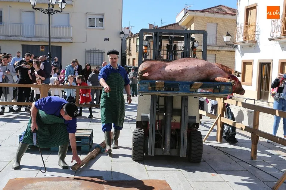 Foto 4 - Ledrada vive una soleada y animada Matanza T&iacute;pica