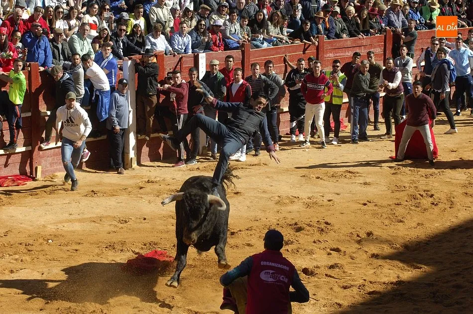 El desencierro matinal baja incompleto tras una capea en la que un maletilla resultó corneado  