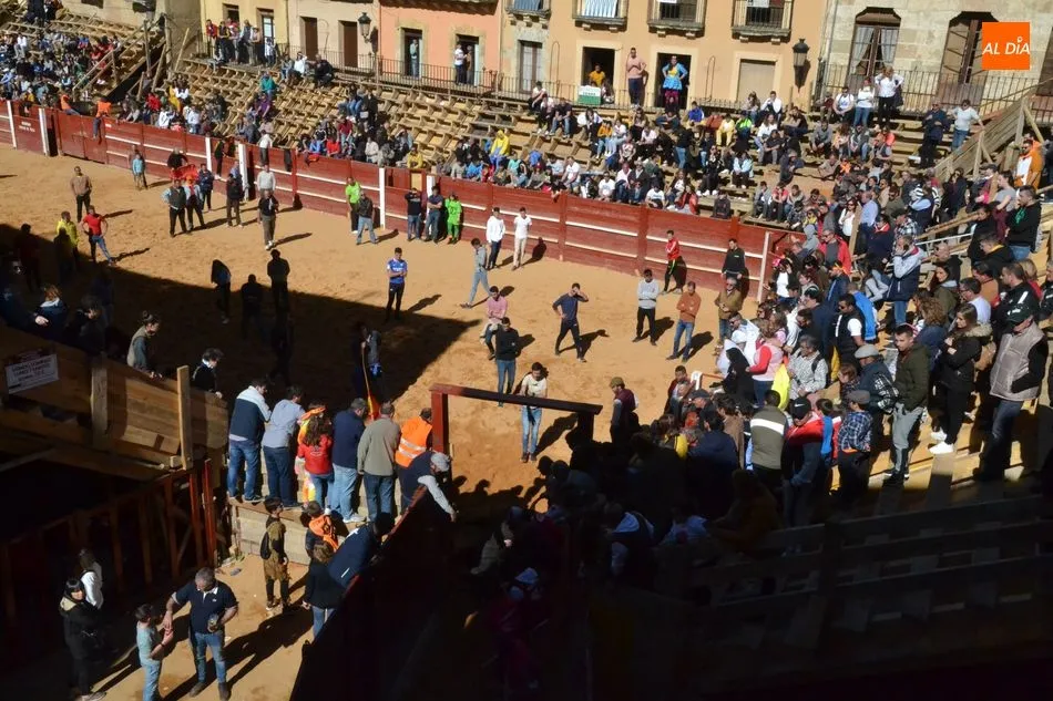 Foto 5 - El desencierro matinal baja incompleto tras una capea en la que un maletilla result&oacute; corneado  