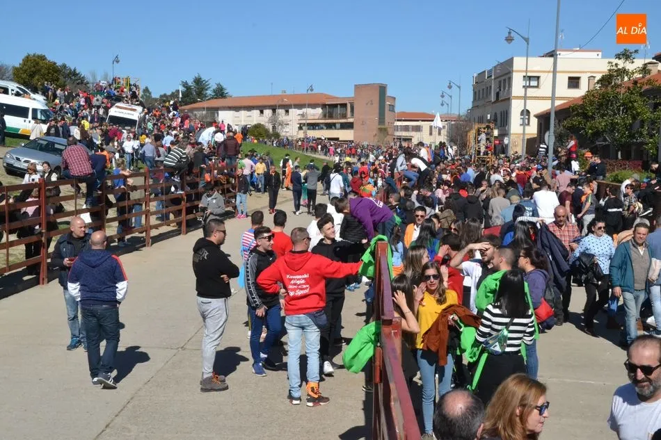 Foto 9 - El desencierro matinal baja incompleto tras una capea en la que un maletilla result&oacute; corneado  