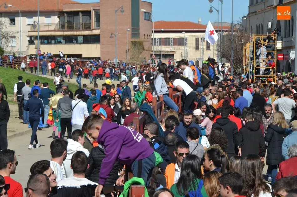 Foto 8 - El desencierro matinal baja incompleto tras una capea en la que un maletilla result&oacute; corneado  