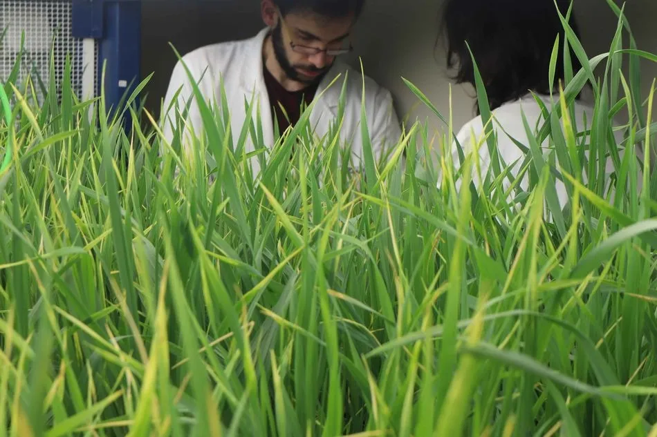 Instalaciones del Irnasa en Salamanca