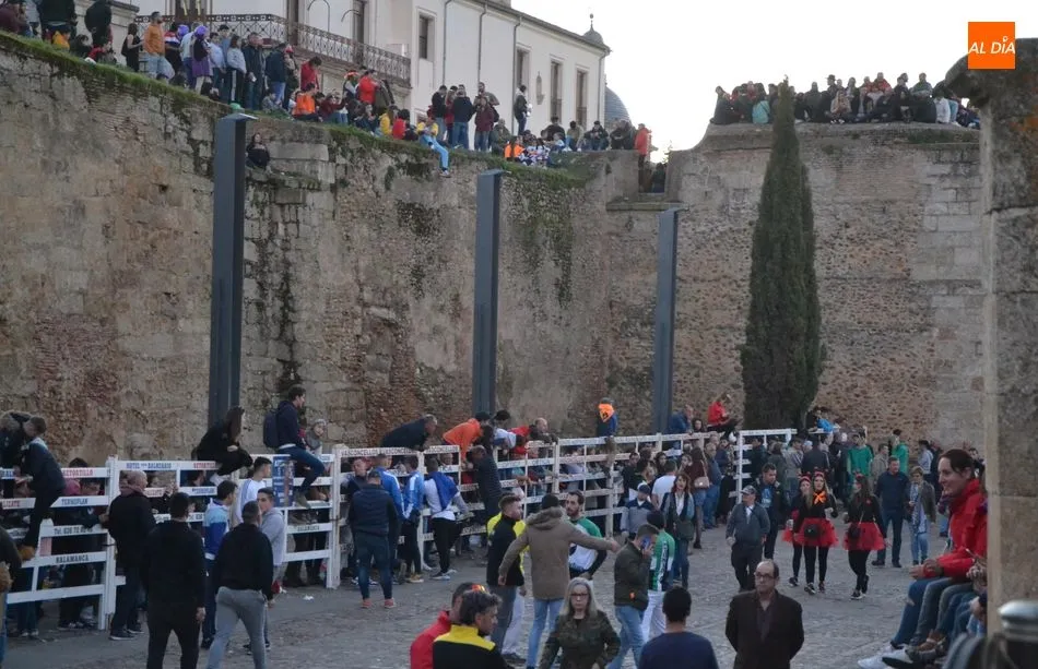 Foto 9 - Limp&iacute;sima tarde de los astados de El Valle Blanco, que protagonizaron un desencierro s&uacute;per veloz  