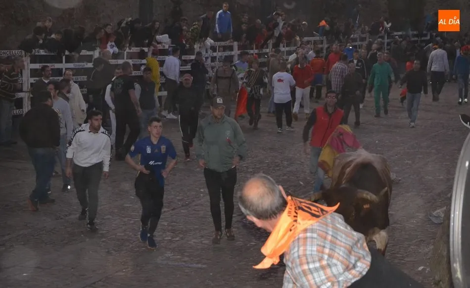 Foto 5 - Limp&iacute;sima tarde de los astados de El Valle Blanco, que protagonizaron un desencierro s&uacute;per veloz  