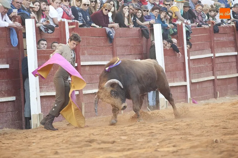 Foto 10 - Ismael Mart&iacute;n hace disfrutar en la vendimia del Bols&iacute;n  