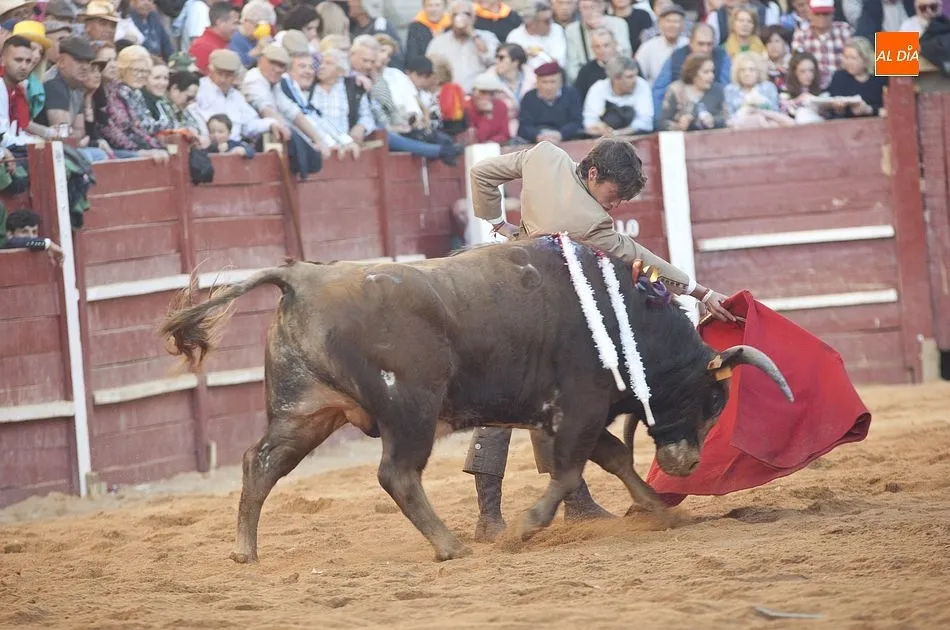 Foto 8 - Ismael Mart&iacute;n hace disfrutar en la vendimia del Bols&iacute;n  