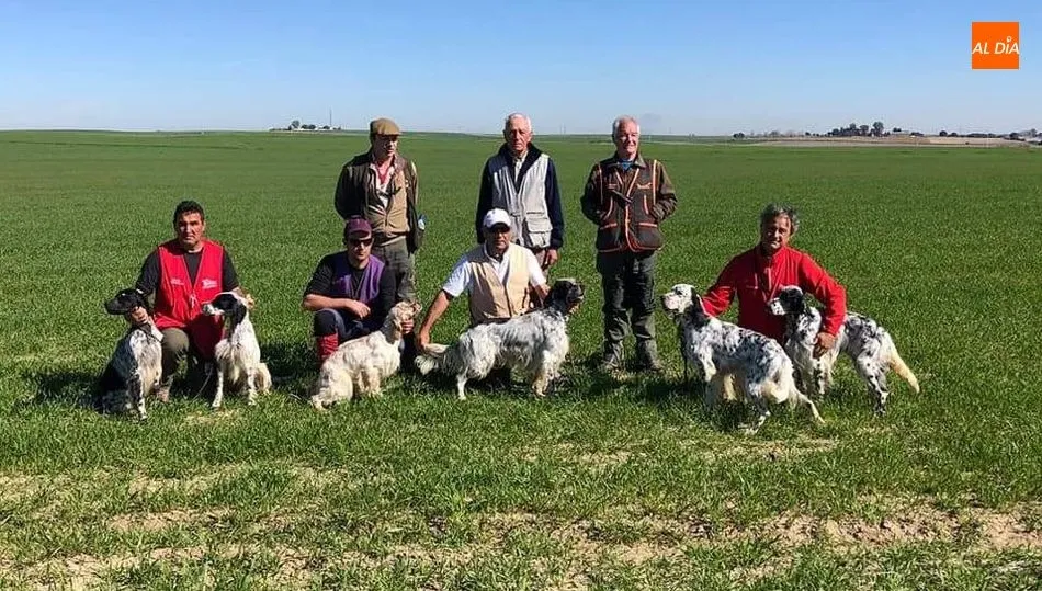 No hubo pointers, solo participaron seis setters ingleses / FOTOS: ANTONIO VICENTE E IÑAKI BASAÑEZ