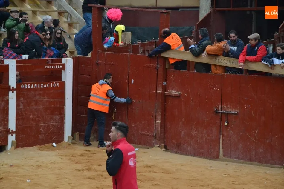 Foto 3 - Casi lleno en los tablaos de la Plaza para disfrutar del toro sufragado por sus constructores  