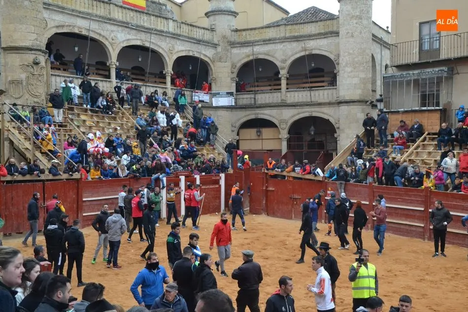 Foto 2 - Casi lleno en los tablaos de la Plaza para disfrutar del toro sufragado por sus constructores  