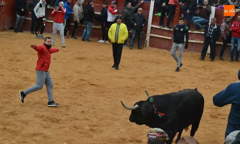 Foto 6 - Casi lleno en los tablaos de la Plaza para disfrutar del toro sufragado por sus constructores  