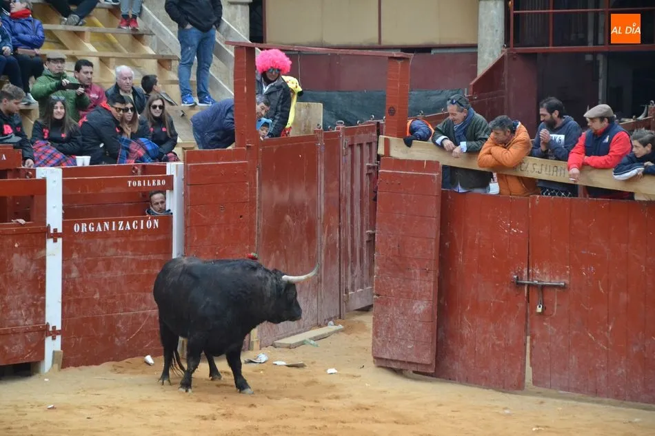 Foto 4 - Casi lleno en los tablaos de la Plaza para disfrutar del toro sufragado por sus constructores  