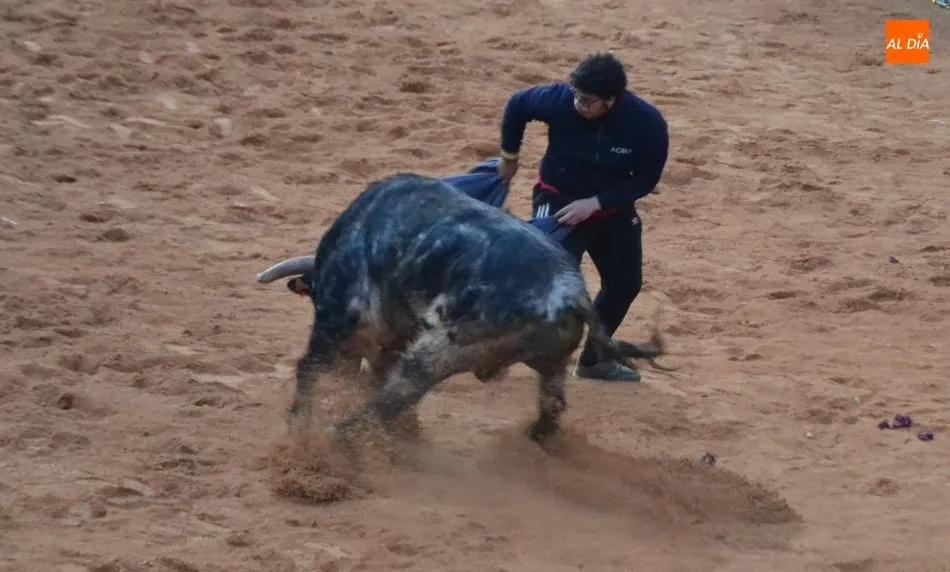 Foto 3 - Pobre cierre taurino del Carnaval de la mano de los astados de Los Bayones  