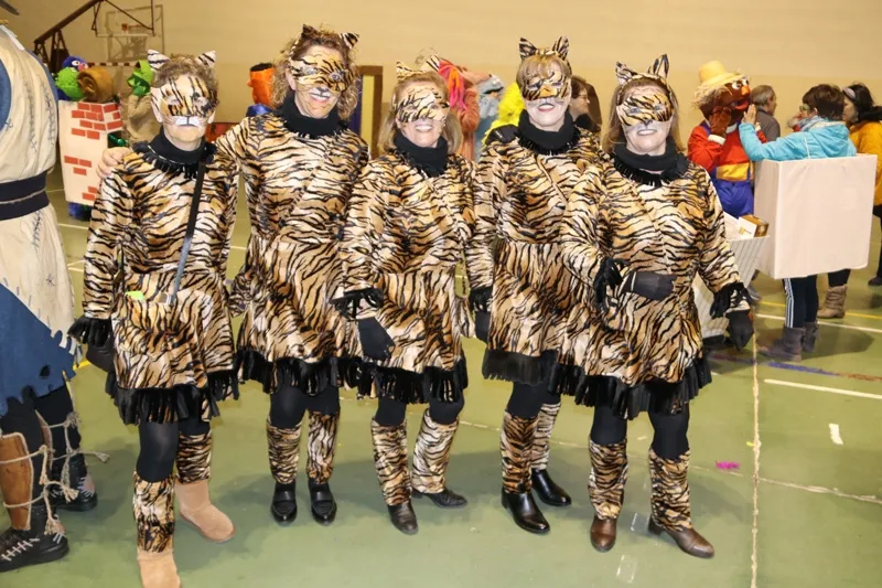 Foto 4 - Originalidad, espect&aacute;culo y animaci&oacute;n protagonizan un colorido concurso y desfile de Carnaval en...