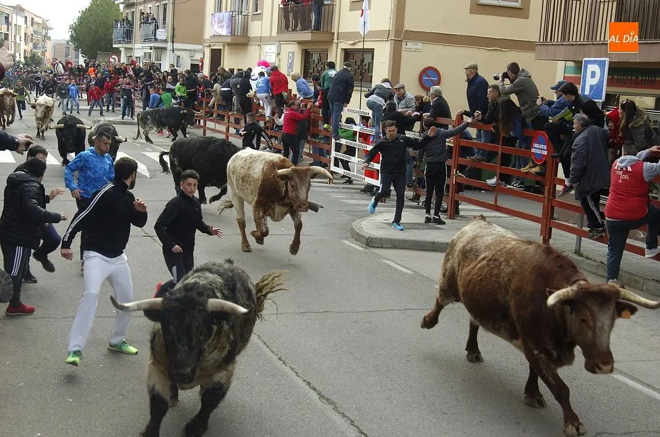 Un momento del encierro del martes/ Foto: Adrián M. Pastor