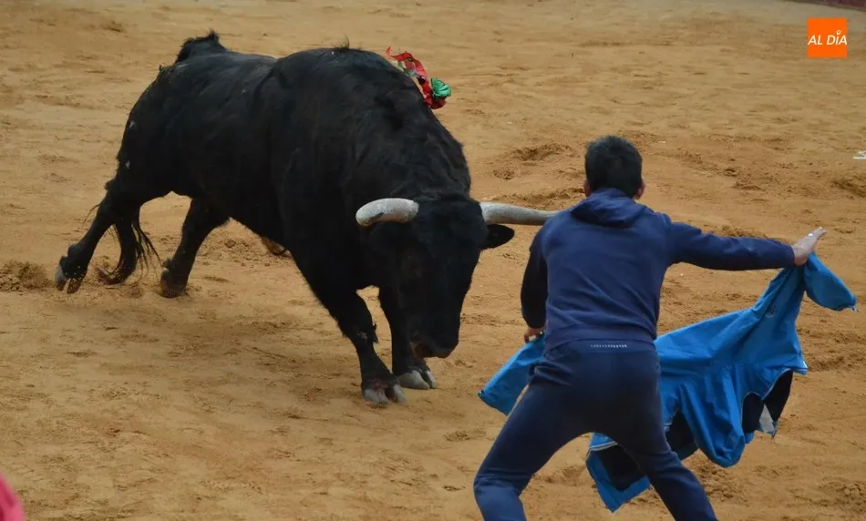 El Toro del Aguardiente se lleva el premio al Toro Más Bravo del Carnaval 2020  