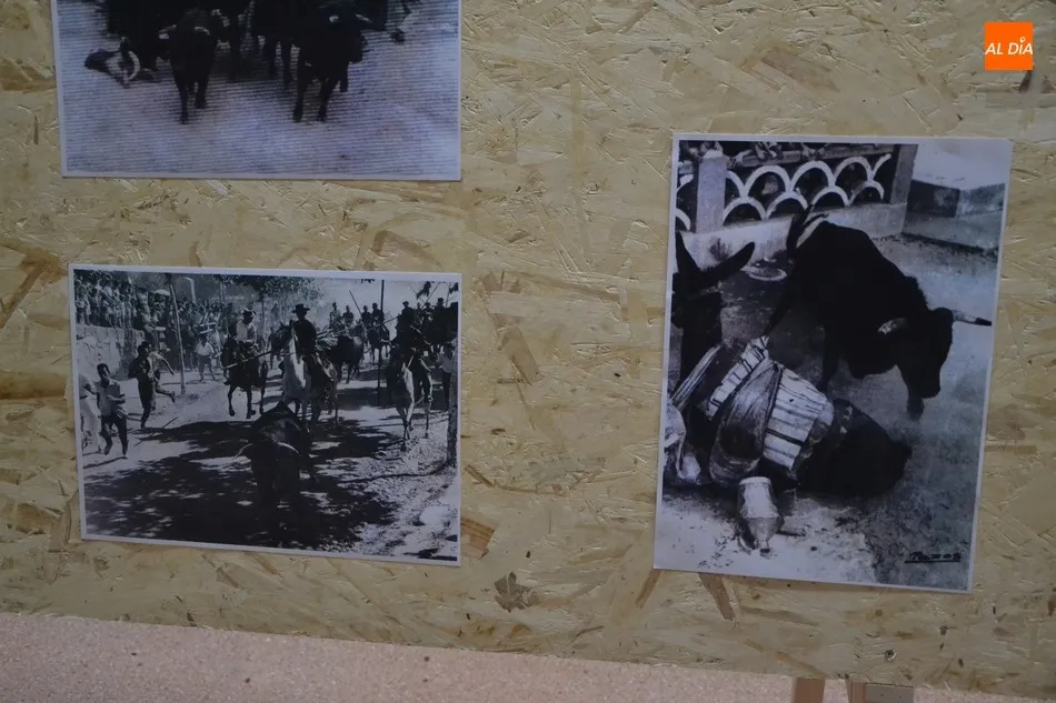 Foto 7 - El Carnaval viaja a su pasado en una interesante exposici&oacute;n en el Centro Comercial  