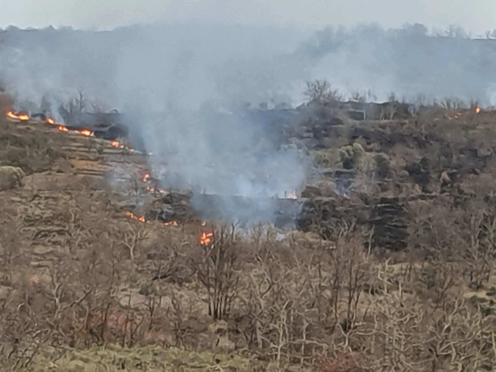 Foto 2 - Villarino espera a los medios de extinci&oacute;n para sofocar un incendio en la zona del Gargall&oacute;n  