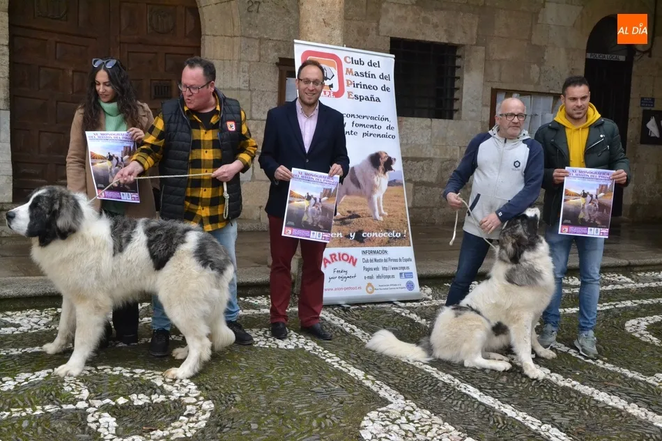 Miróbriga albergará la XL Monográfica del Mastín del Pirineo, que ha sufrido bajas por el...