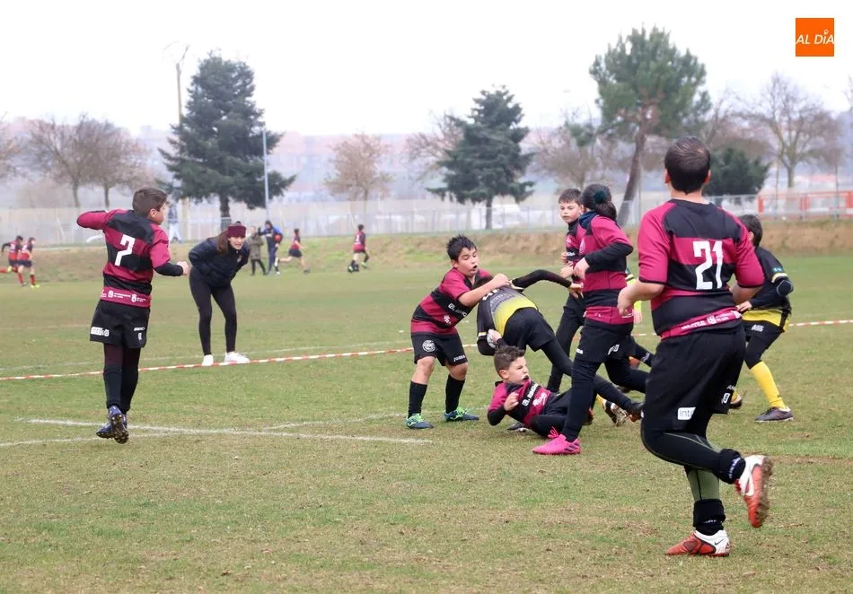 Foto 9 - M&aacute;s de 500 ni&ntilde;os disfrutan del rugby en Salamanca