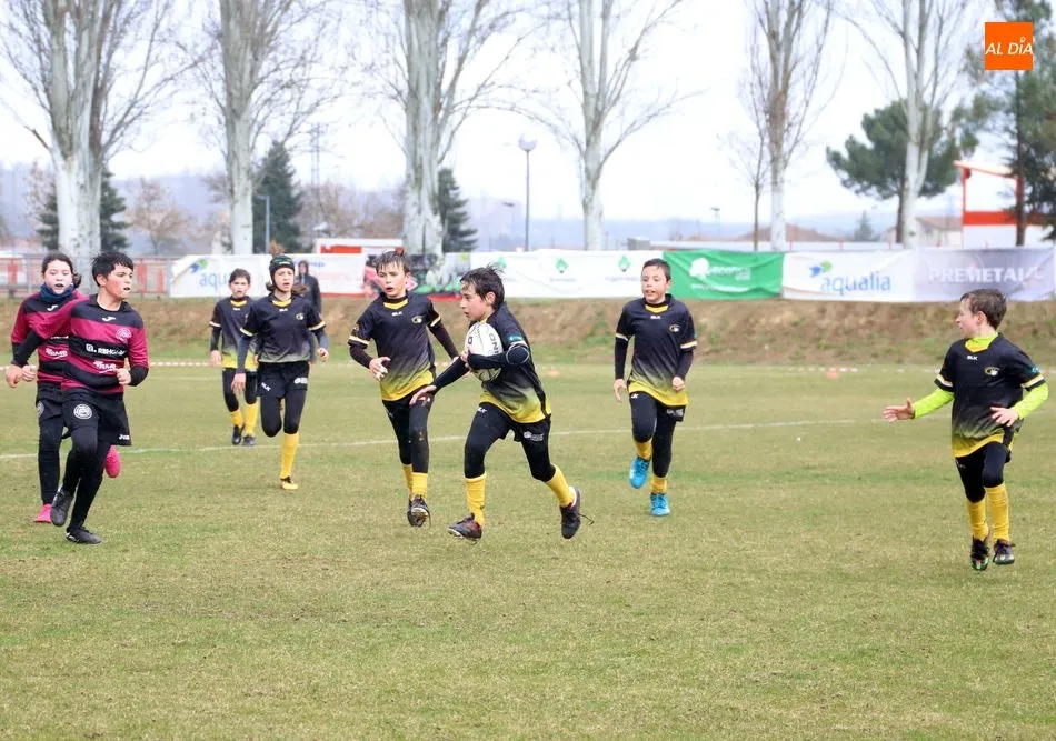 Foto 7 - M&aacute;s de 500 ni&ntilde;os disfrutan del rugby en Salamanca