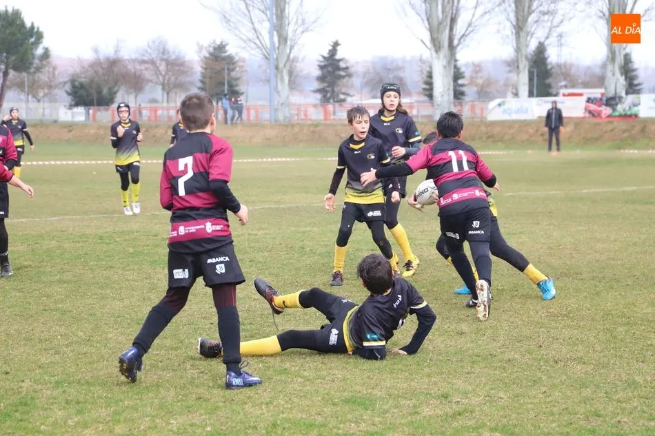 Foto 5 - M&aacute;s de 500 ni&ntilde;os disfrutan del rugby en Salamanca