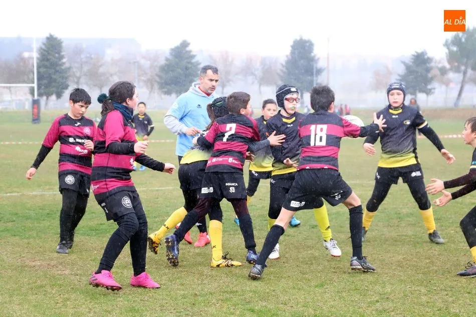 Foto 2 - M&aacute;s de 500 ni&ntilde;os disfrutan del rugby en Salamanca