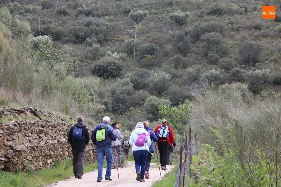 Foto 6 - Cerca de 300 senderistas participan en la Marcha &lsquo;Almendros en flor&rsquo; de La&nbsp;Fregeneda  