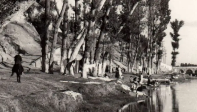 El Paseo de la Chopera