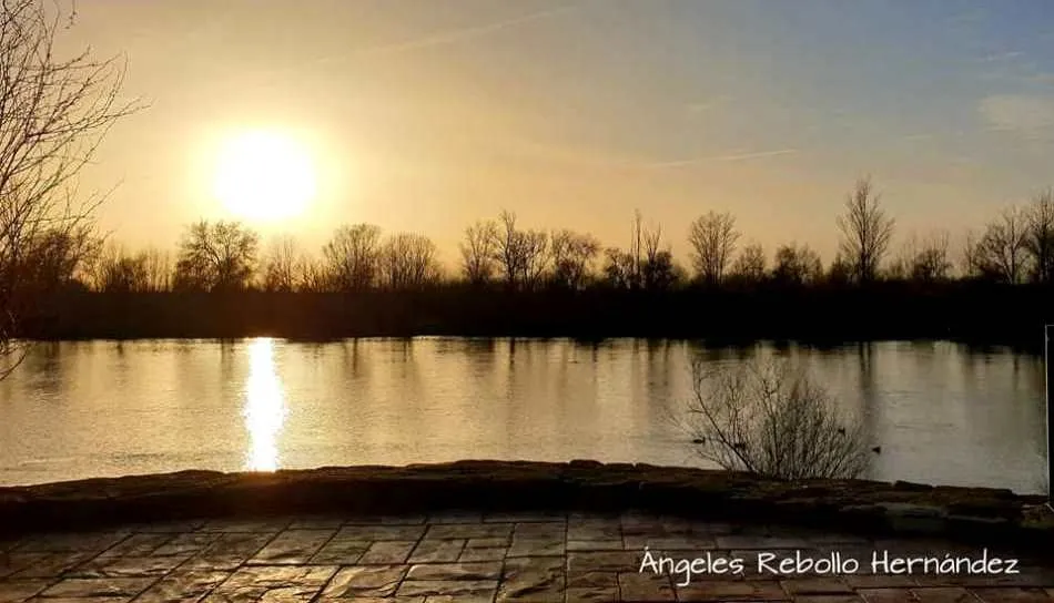 El milagro de cada día