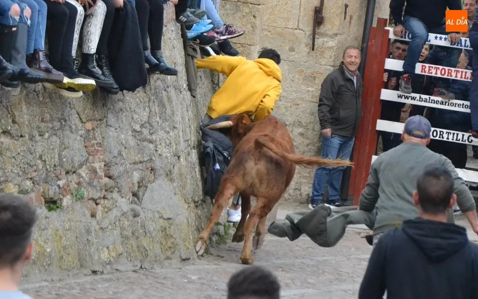 Foto 10 - El Domingo de Pi&ntilde;ata recupera con gran &eacute;xito de p&uacute;blico la capea de vaquillas  