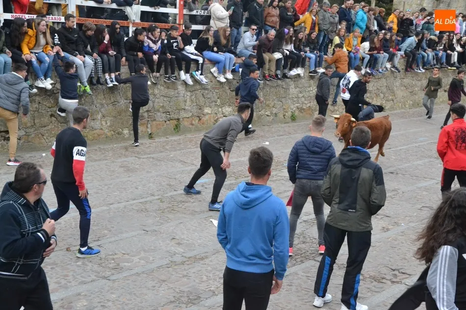 Foto 6 - El Domingo de Pi&ntilde;ata recupera con gran &eacute;xito de p&uacute;blico la capea de vaquillas  