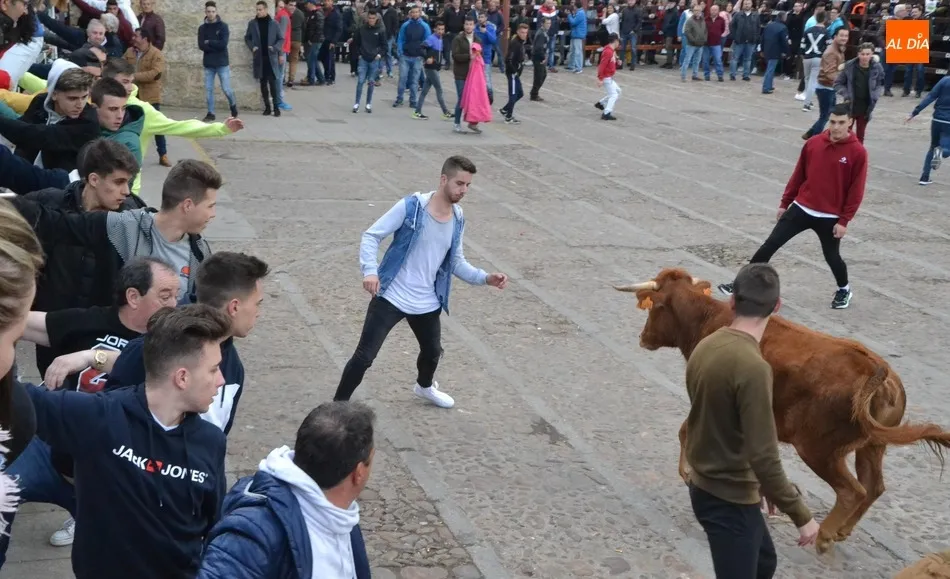 Foto 5 - El Domingo de Pi&ntilde;ata recupera con gran &eacute;xito de p&uacute;blico la capea de vaquillas  