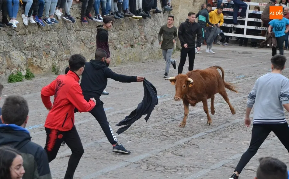 Foto 7 - El Domingo de Pi&ntilde;ata recupera con gran &eacute;xito de p&uacute;blico la capea de vaquillas  