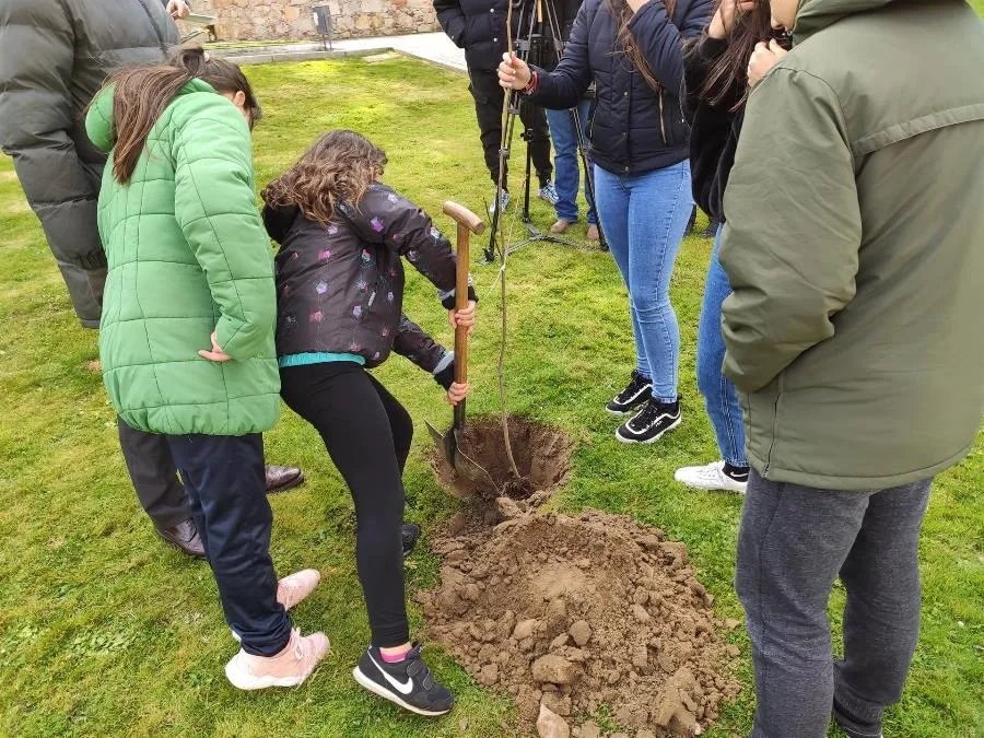 Foto 2 - Plantan un total de 120 olmos aut&oacute;ctonos resistentes a la grafiosis en&nbsp; Salamanca