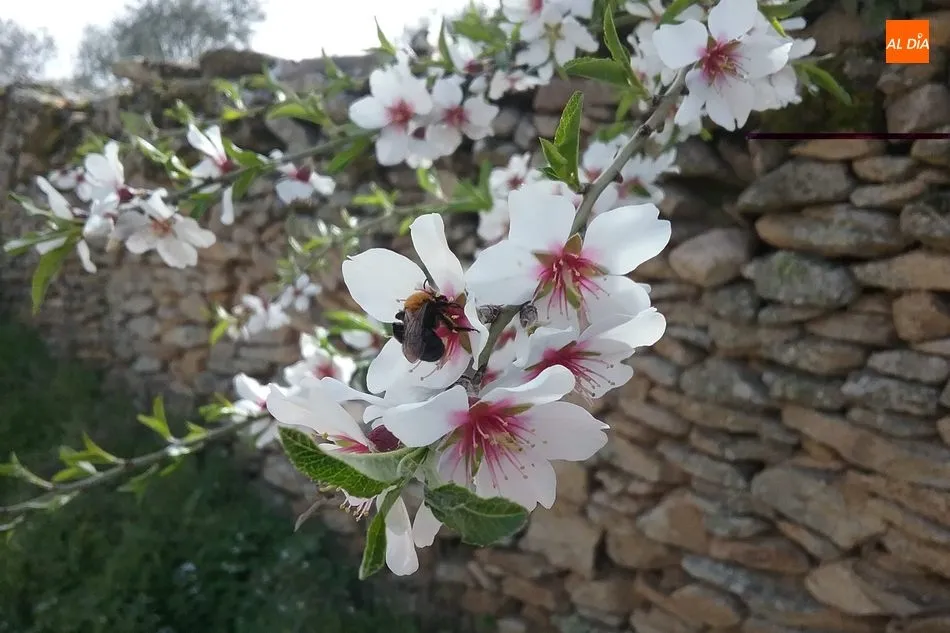 En los albores de la primavera