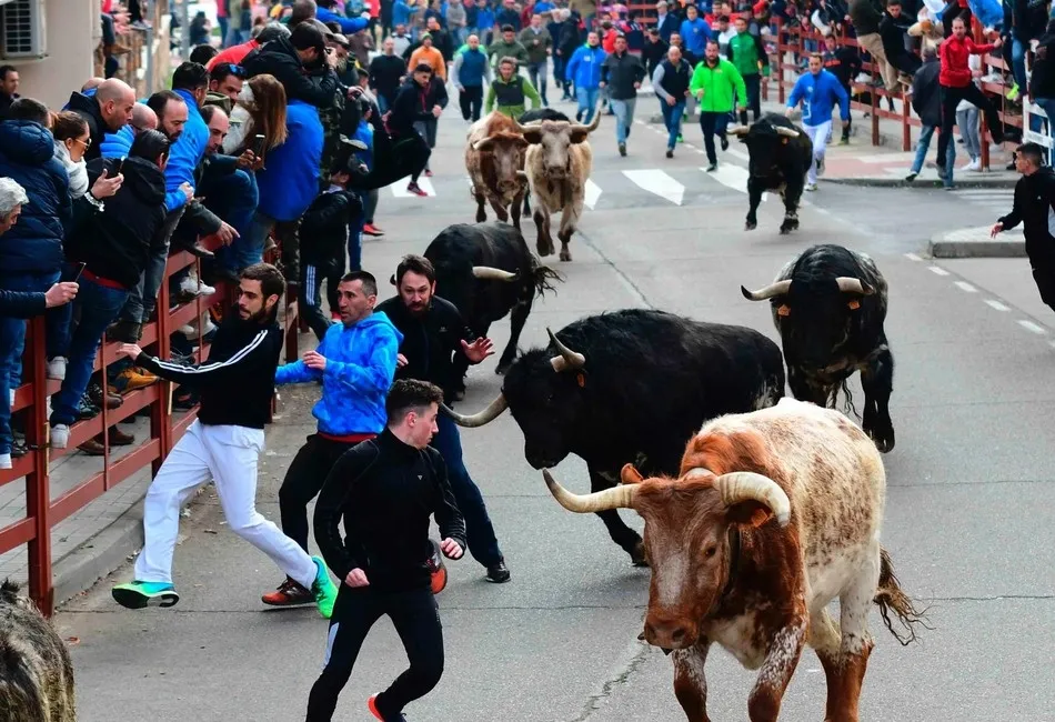 Foto 8 - Abierta la votaci&oacute;n para escoger las im&aacute;genes que ilustrar&aacute;n el Calendario Carnavalero 20/21  