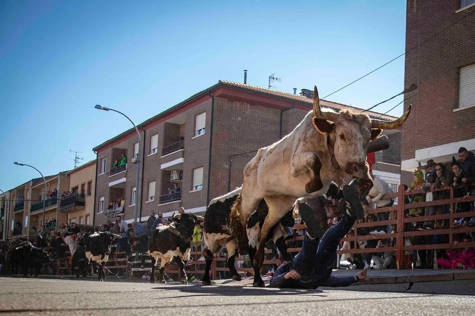 Foto 7 - Abierta la votaci&oacute;n para escoger las im&aacute;genes que ilustrar&aacute;n el Calendario Carnavalero 20/21  