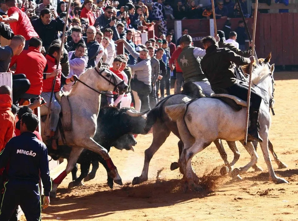 Foto 9 - Abierta la votaci&oacute;n para escoger las im&aacute;genes que ilustrar&aacute;n el Calendario Carnavalero 20/21  