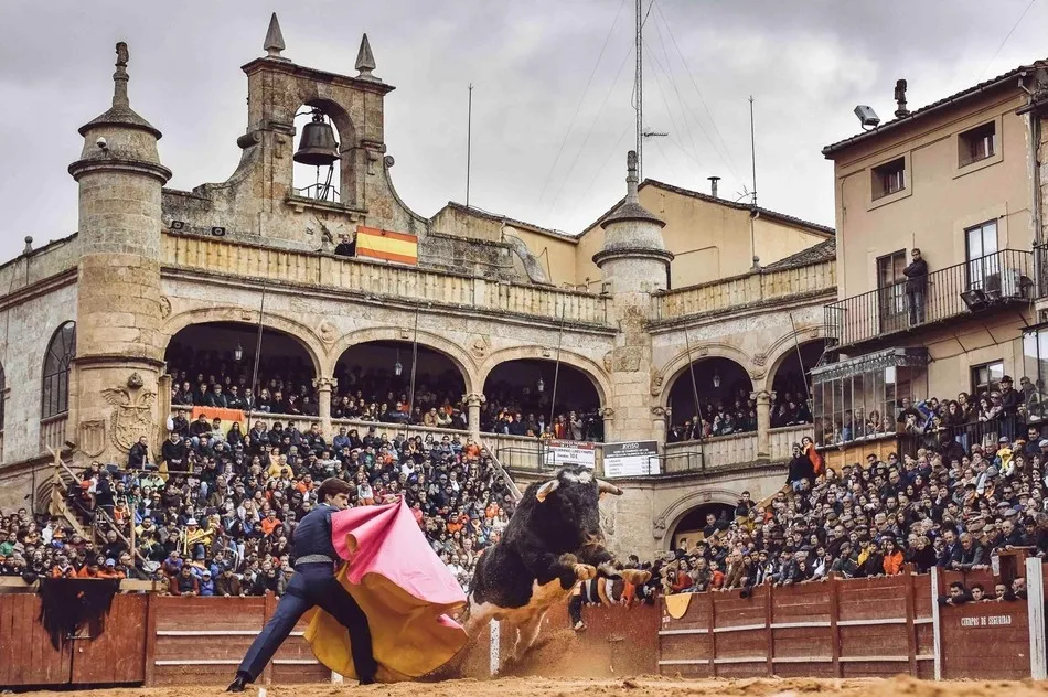 Foto 5 - Abierta la votaci&oacute;n para escoger las im&aacute;genes que ilustrar&aacute;n el Calendario Carnavalero 20/21  
