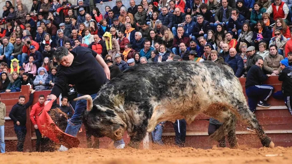 Foto 3 - Abierta la votaci&oacute;n para escoger las im&aacute;genes que ilustrar&aacute;n el Calendario Carnavalero 20/21  
