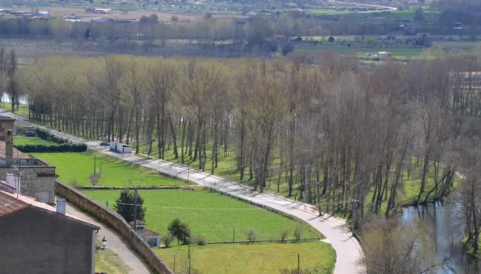 Antigua imagen de la Alameda Vieja de Ciudad Rodrigo cuando estaba llena de chopos