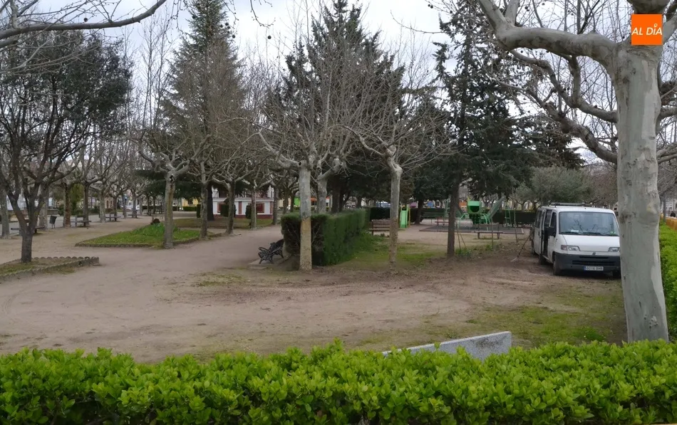 Foto 3 - Retirado un tramo de arbustos del Parque de La Glorieta  