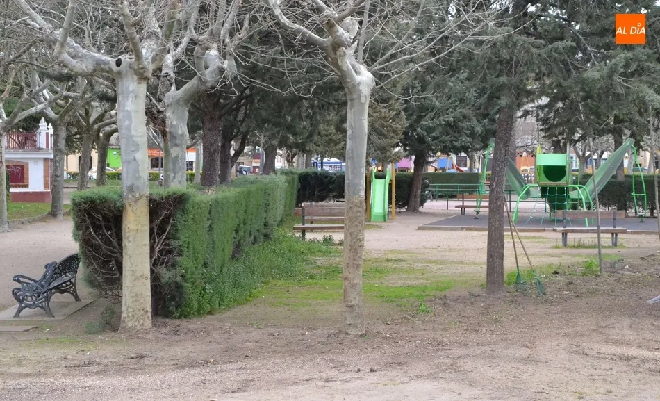 Foto 2 - Retirado un tramo de arbustos del Parque de La Glorieta  
