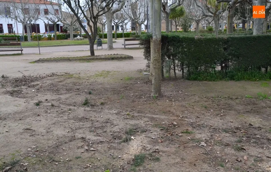 Foto 6 - Retirado un tramo de arbustos del Parque de La Glorieta  