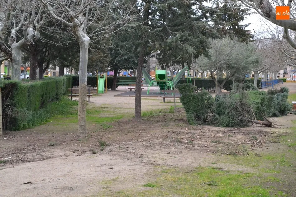 Retirado un tramo de arbustos del Parque de La Glorieta  