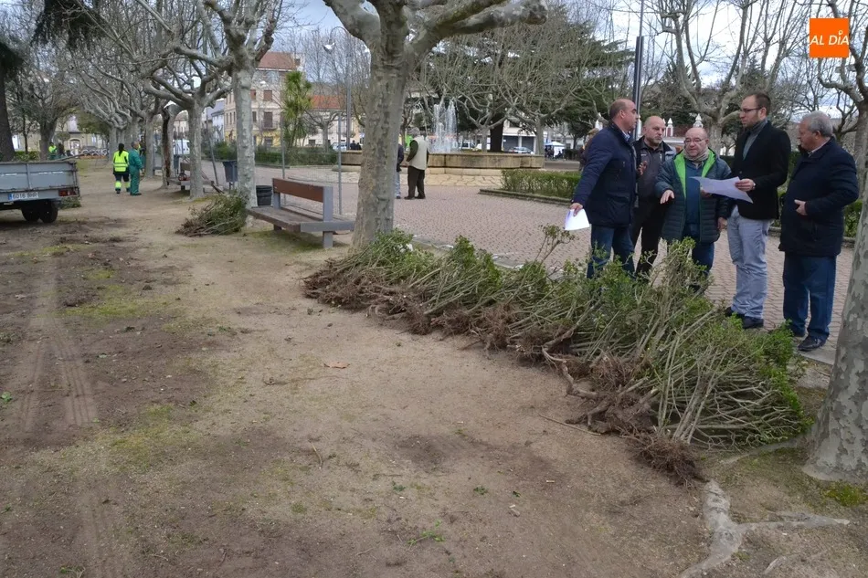 Foto 8 - En marcha una intervenci&oacute;n para renovar un lateral del Parque de La Glorieta  