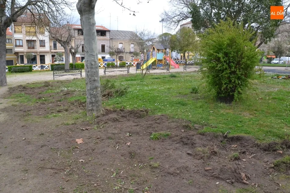 Foto 3 - En marcha una intervenci&oacute;n para renovar un lateral del Parque de La Glorieta  