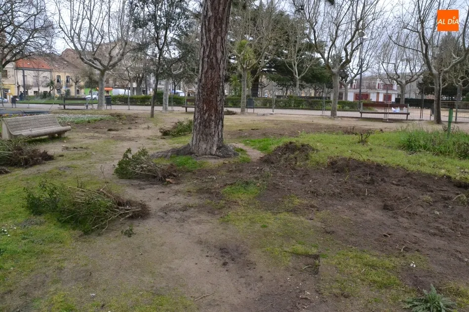 Foto 4 - En marcha una intervenci&oacute;n para renovar un lateral del Parque de La Glorieta  