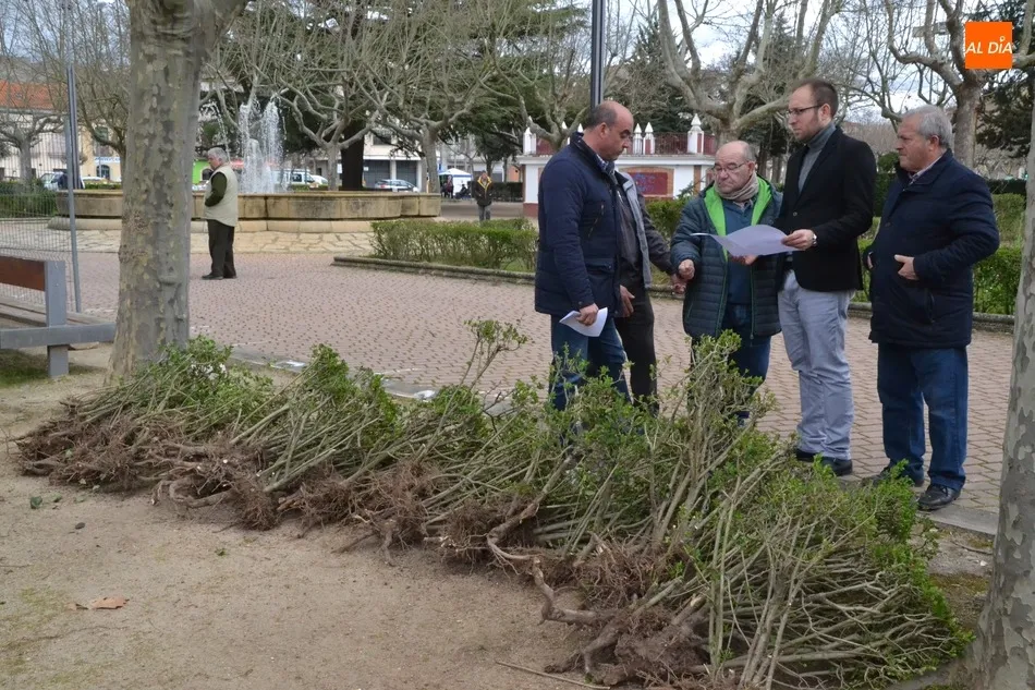 Foto 9 - En marcha una intervenci&oacute;n para renovar un lateral del Parque de La Glorieta  
